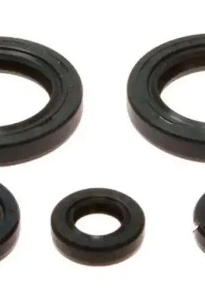 Pago Seguro Kit reténes de motor completo Athena | KTM Duke 125 2011-2012