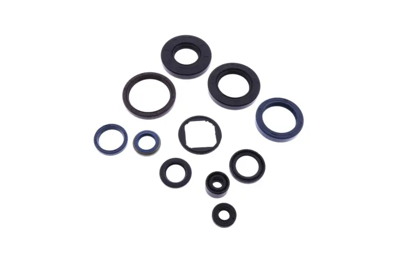 Artesanal Kit reténes de motor completo Athena | Cagiva Mito 125 / Mito 125 EV ...