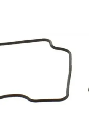 Kit reparación de carburador TourMax Eco Kit | Yamaha XV 1600 A 1999-2004 Envío Exprés