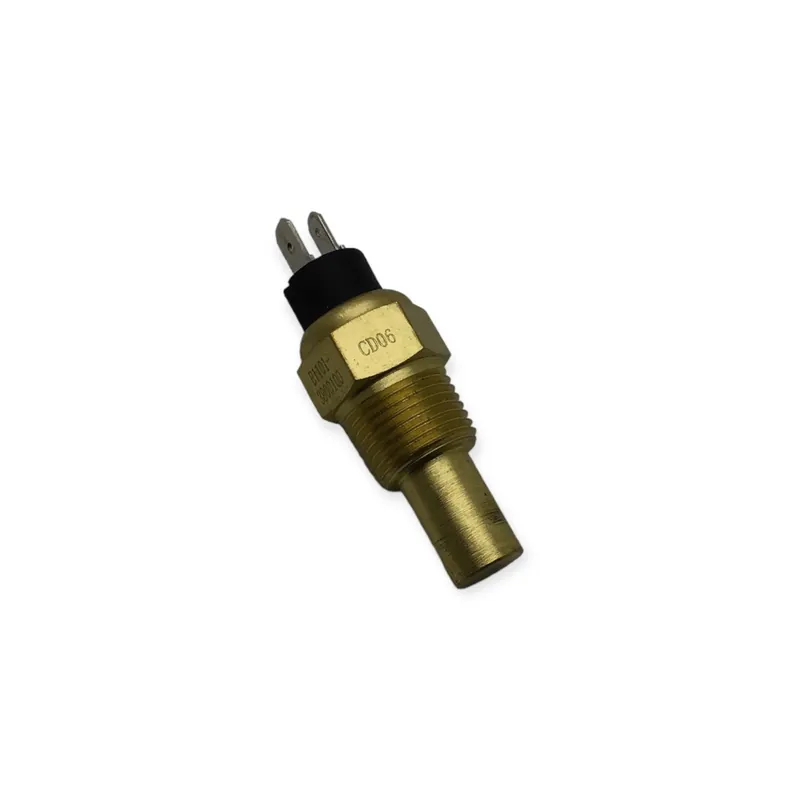 Rebajas Sensor Temperatura motores Raywin