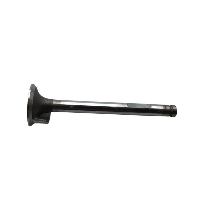 Oferta Especial Valvula admision Minsel Ruggerini 30.5X9X105 deflector