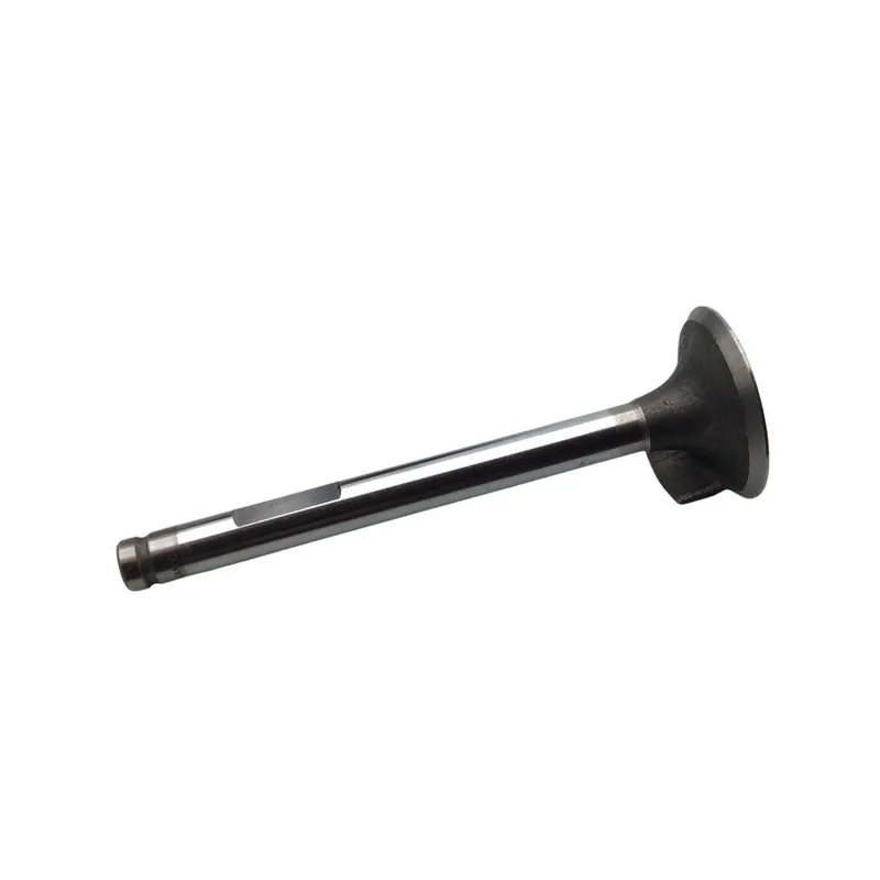 Valvula admision Minsel Ruggerini 35X9X105 deflector Marca Reconocida