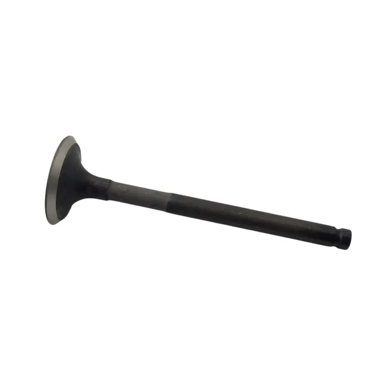Precio Rebajado Valvula escape Minsel Ruggerini 30X95X7mm