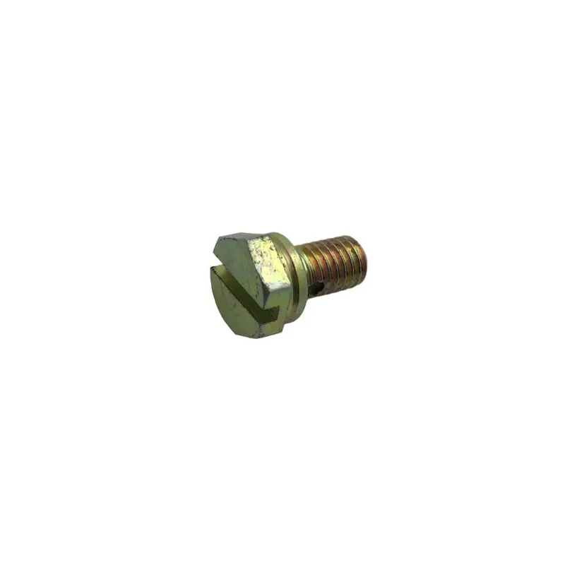 Tornillo racord Lombardini ED0015700560-S Premium
