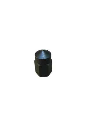 Tuerca l. distribución m 9 Lombardini ED0032300300-S Solo Hoy