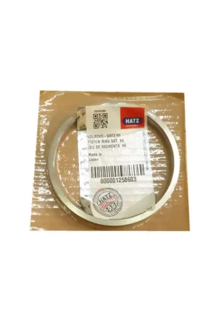 Oferta De Temporada Juego segmentos std Hatz 1D30.18 1D31.16 1D40.19