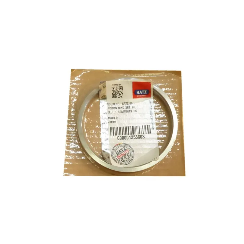 Oferta De Temporada Juego segmentos std Hatz 1D30.18 1D31.16 1D40.19