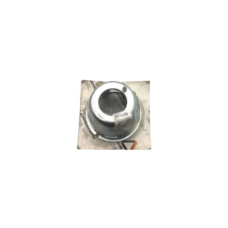 Pedido Al Por Mayor Polea Lombardini ED00696A1760-S Liquidacion