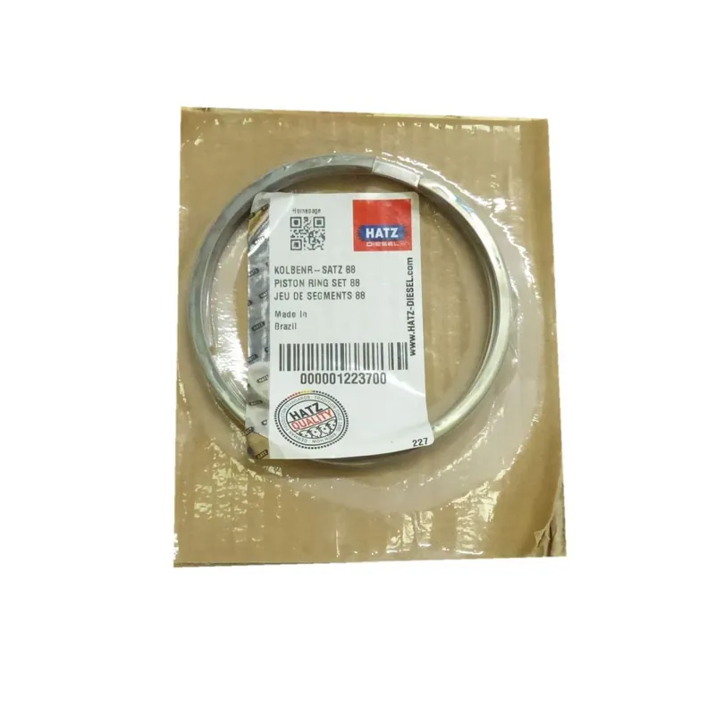 Última Versión Juego segmentos std Hatz 1D60.26 2G30.17