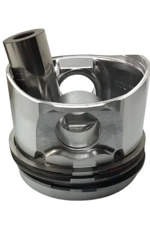 Piston +0.50 Hatz 1D81.19-20-21 Tendencia