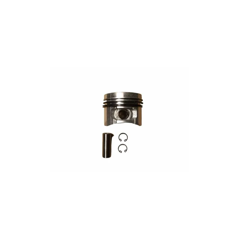 Piston std Hatz 1B20.23 Precio Rebajado