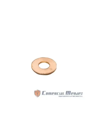 Arandela Lombardini ED00754R0600-S Gran Oferta