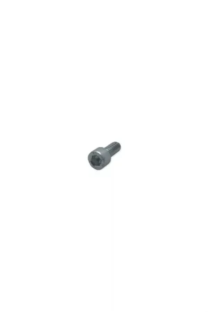 Tornillo m 6 x 14 Lombardini ED0097301070-S Auténtico