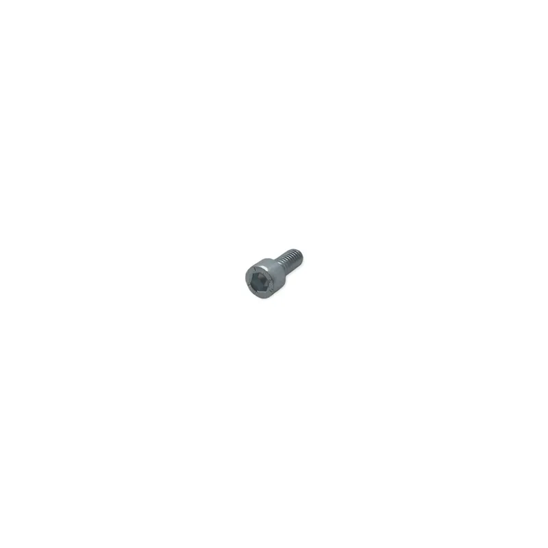 Tornillo m 6 x 14 Lombardini ED0097301070-S Auténtico