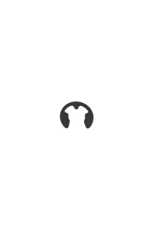 Clip 8mm Lombardini ED0011650360-S Oferta De Temporada