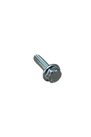 Tornillo m 8X1,25X30 Lombardini ED0017701550-S Premium