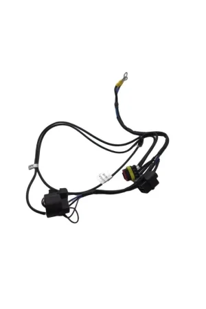 Cableado Lombardini ED0021864190-S Última Versión