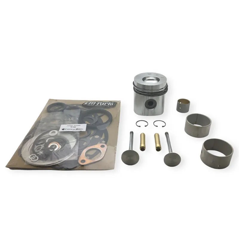Premium Kit reparacion parte alta Hatz E786