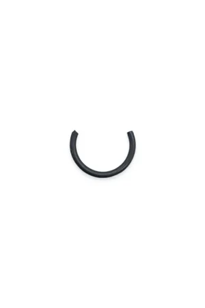 Clip valvula escape Ruggerini RP 059r002 Oferta Especial