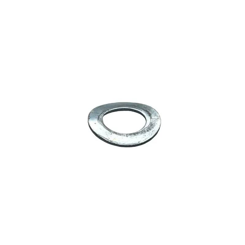 Arandela d,8mm Lombardini ED0075550290-S Tendencia