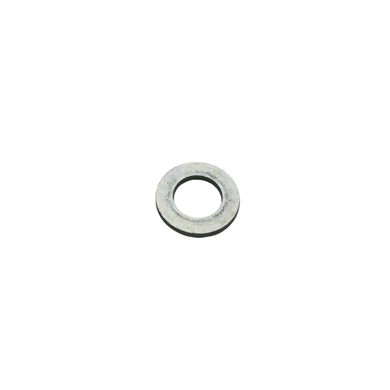 Envío Exprés Arandela Lombardini ED00771R0110-S