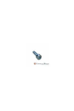 Tornillo m 6 x 20 Lombardini ED0097300120-S Promoción Exclusiva