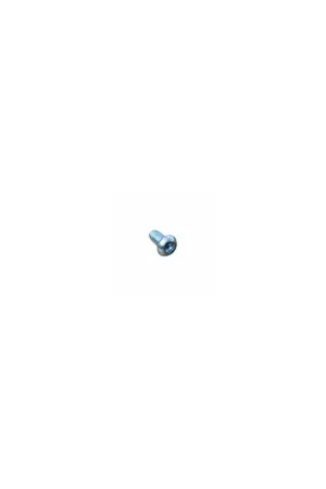 Tornillo m 6 x 12 Lombardini ED0097303190-S Gran Oferta