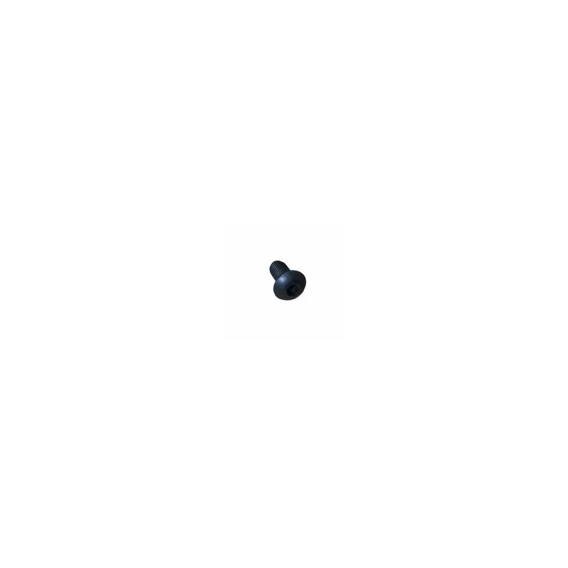 Tornillo m 5 x 10 Lombardini ED0097303400-S Oferta De Temporada