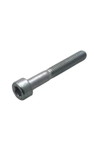 Tornillo m 6 x 40 Lombardini ED0097320160-S Envío Gratis