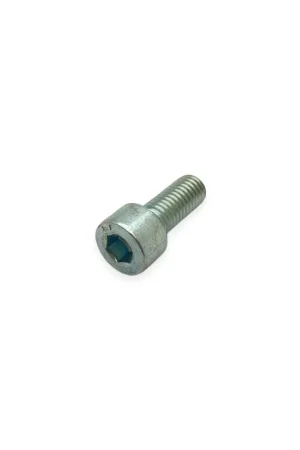 Pago Seguro Tornillo m 8 x 20 Lombardini ED0097320740-S