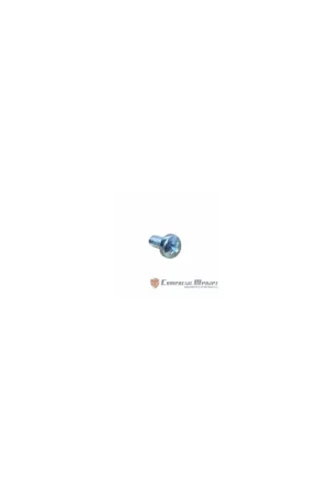 Envío Exprés Tornillo m 5 x 10 Lombardini ED0097900280-S