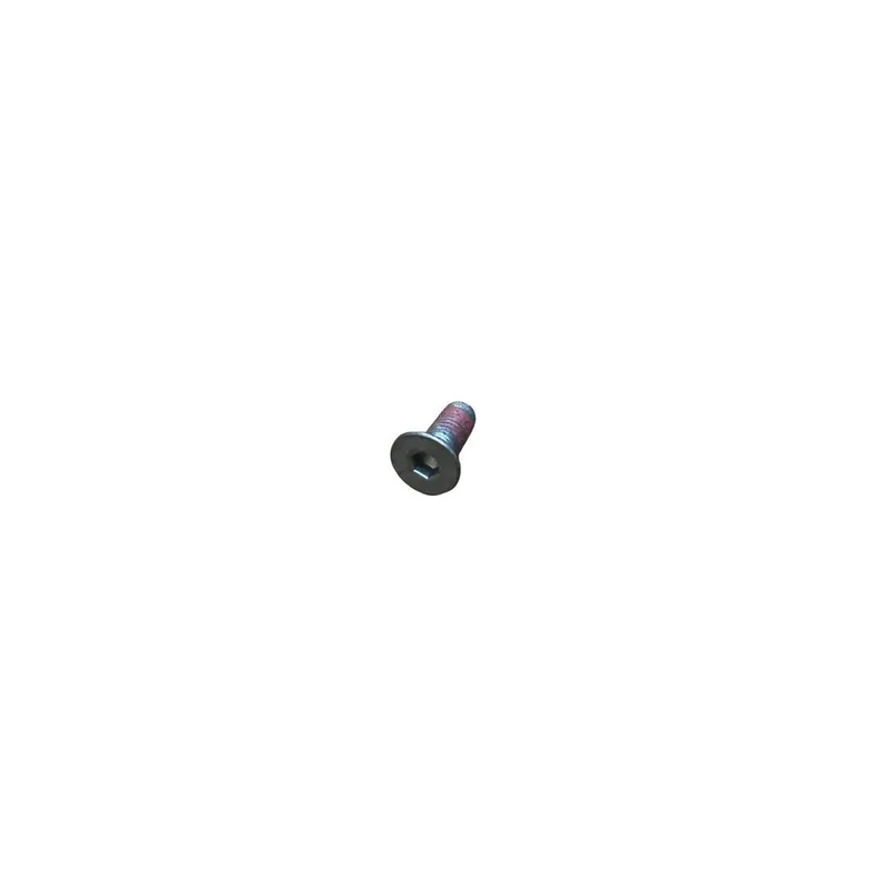 A Buen Precio Tornillo Lombardini ED0098001620-S