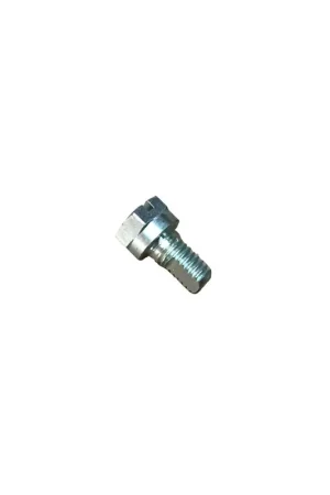 Tornillo fijación Lombardini ED0098201090-S Súper Precio