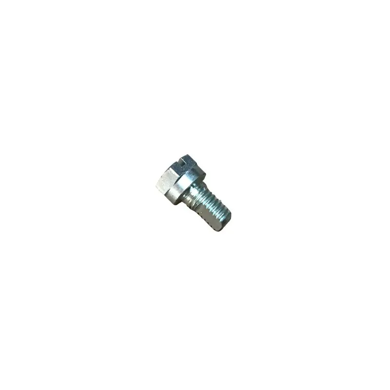 Tornillo fijación Lombardini ED0098201090-S Súper Precio