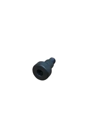 Tornillo m 3 x 10 Lombardini ED0098652020-S Promoción