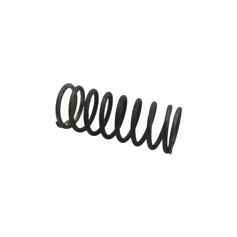 Muelle Lombardini ED0058011350-S Rebajas