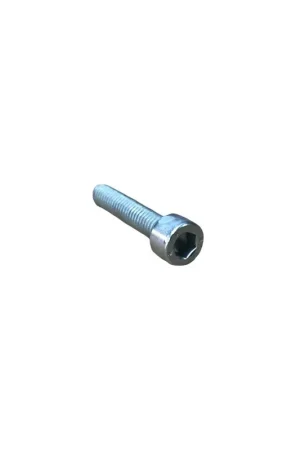 Tornillo m 6 x 30 Lombardini ED0097300150-S No Te Lo Pierdas
