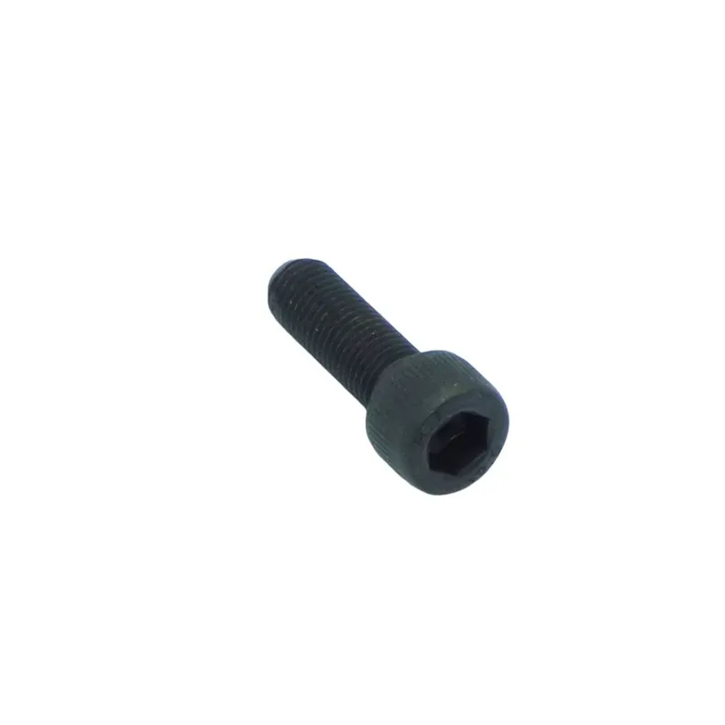 Oferta Especial Tornillo Lombardini ED0097302940-S
