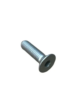 Precio Rebajado Tornillo avellanado m 8 x 30 Lombardini ED0098000550-S
