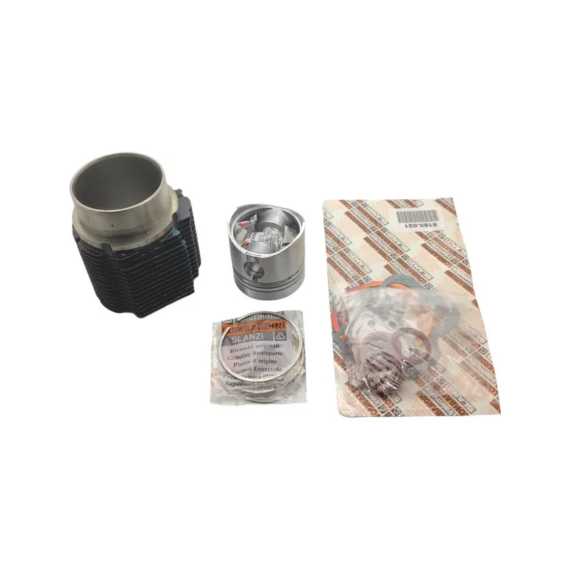 Equipo de motor Lombardini 9LD 561-2 falda 100mm Precio Rebajado
