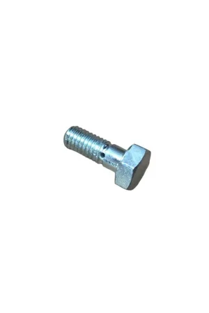 Tornillo racord m6 Lombardini varios modelos Última Versión