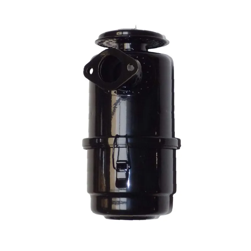 Filtro aire Lombardini 4LD820 (Obsoleto) Tendencia
