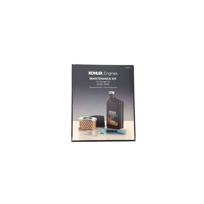 Envío Gratis Kit mantenimiento filtros Kohler SH265