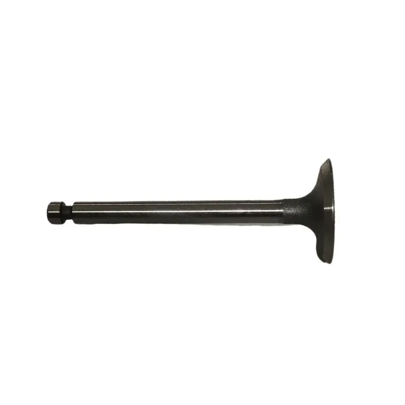 Valvula admision Kohler CS6 Liquidacion Mejor Precio