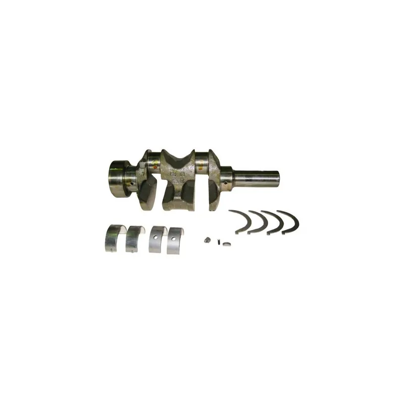 Oferta Flash Cigüeñal minicoche Lombardini LDW 502
