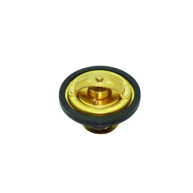 Termostato agua Lombardini LDW 1603-2204 Garantía De Devolución De Dinero