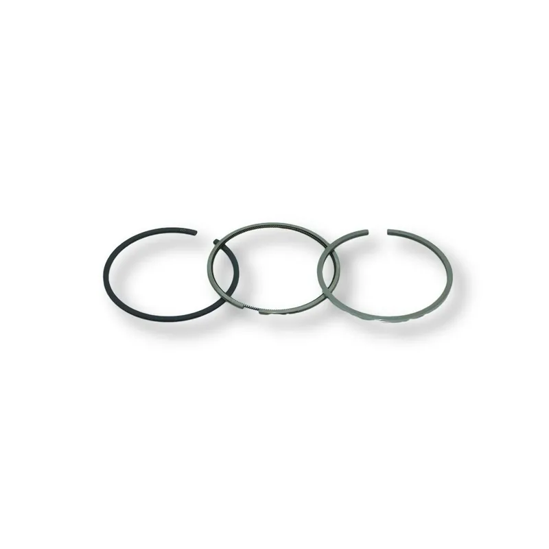 Oferta Flash Juego segmentos std Lombardini 15LD225