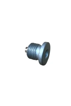 Tapon salida aceite Lombardini LDW 442 Barato