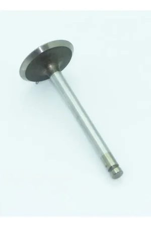 Valvula admision Lombardini 6LD325 Stock Limitado