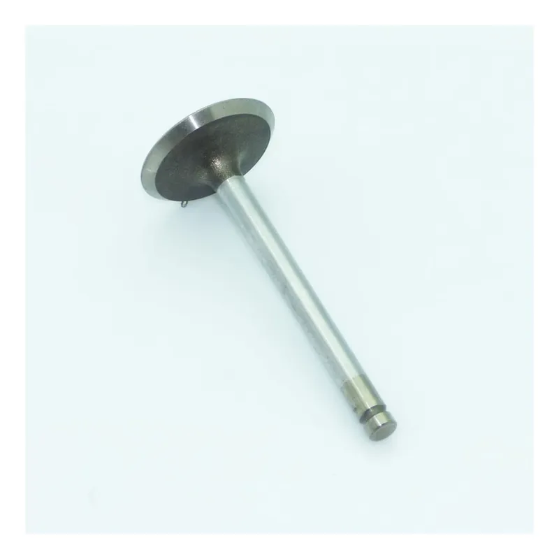 Valvula admision Lombardini 6LD325 Stock Limitado